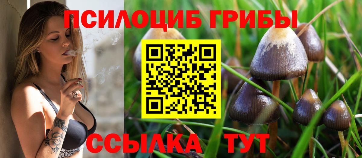 Галлюциногенные грибы Cubensis  Вход с VPN  Псилоцибиновые грибы Psilocybine cubensis  Реутов 